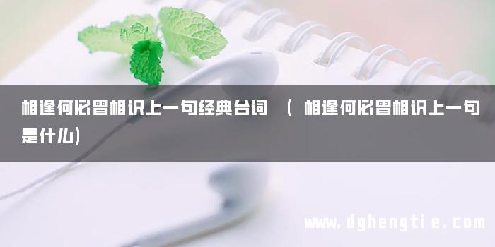 相逢何必曾相识上一句经典台词 (相逢何必曾相识上一句是什么)